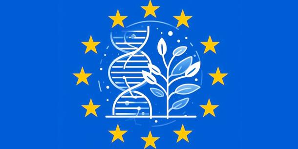 Pflanze mit DNA vor EU-Flagge