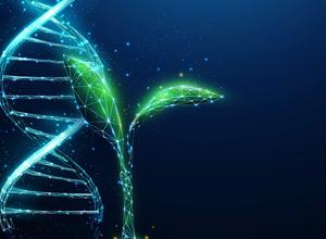 Pflanzen DNA