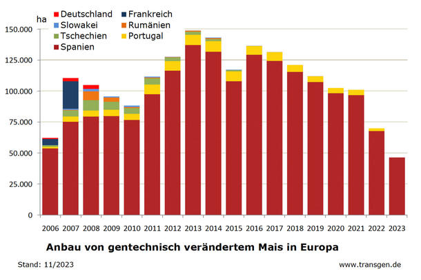 Anbau von Bt-Mais in der EU Stand 11/23