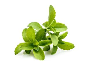 Stevia