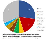 GE-Projekte biotischer Stress GE-Projekte biotischer Stress