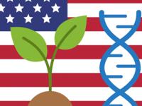 Regulierung gv-Pflanzen in den USA