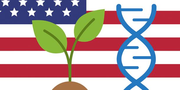 Regulierung gv-Pflanzen in den USA
