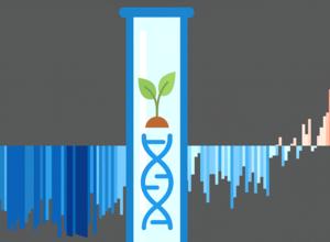 Klimawandel: Was kann die Gen-Schere CRISPR-Cas