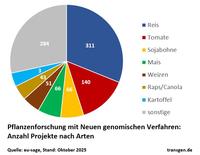 Projekte NGT-Pflanzen: Arten Projekte NGT-Pflanzen: Arten