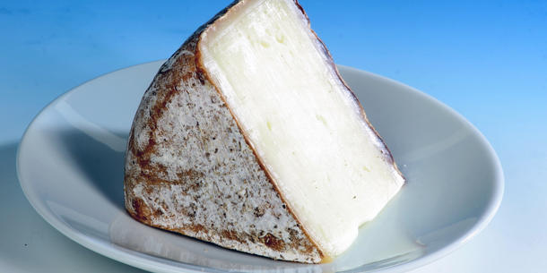 Käse Käse