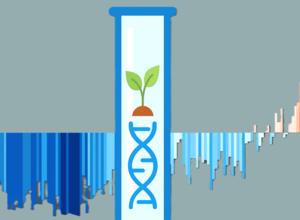 Klimawandel: Warum die Gen-Schere CRISPR-Cas nützlich ist Klimawandel: Warum die Gen-Schere CRISPR-Cas nützlich ist