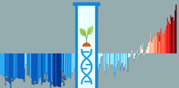 Klimawandel: Warum die Gen-Schere CRISPR-Cas nützlich ist