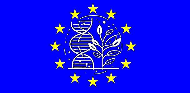 NGT-Pflanzen in der EU