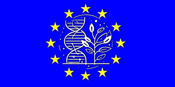 NGT-Pflanzen in der EU