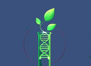 Pflanzen-DNA im Reagenzglas