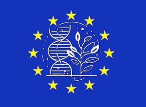 NGT-Pflanzen in der EU