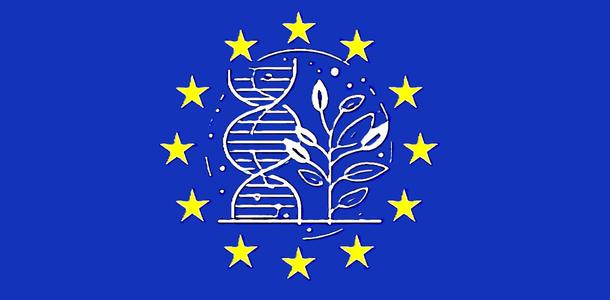 NGT-Pflanzen in der EU