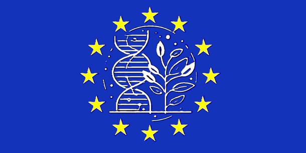 NGT-Pflanzen in der EU