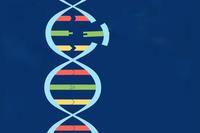 DNA-Helix mit Mutation