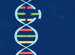 DNA-Helix mit Mutation