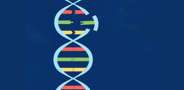 DNA-Helix mit Mutation