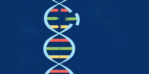 DNA-Helix mit Mutation