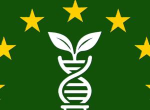 NGT-Verordnung