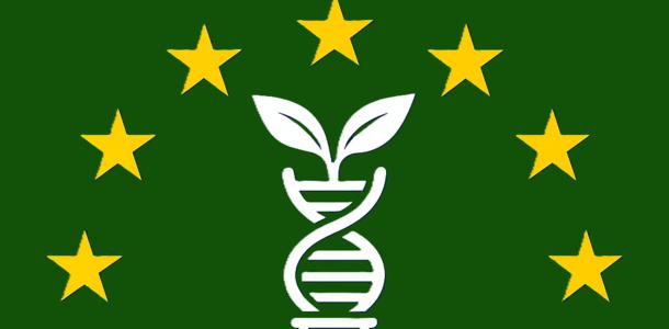 NGT-Verordnung