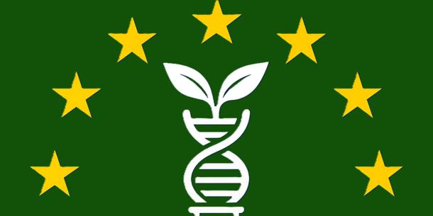 NGT-Verordnung