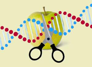 Apfel mit CRISPR/Cas