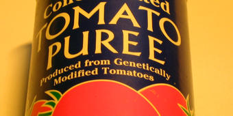 Tomatenketchup, Kennzeichnung Tomatenketchup, Kennzeichnung