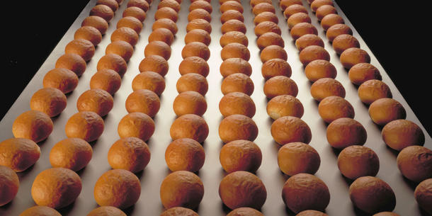 Enzyme, Brot Enzyme, Brot