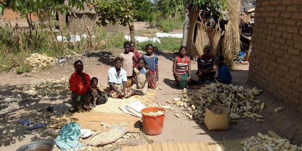 Kleinbauern in Afrika