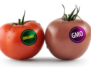 Label Organic GMO