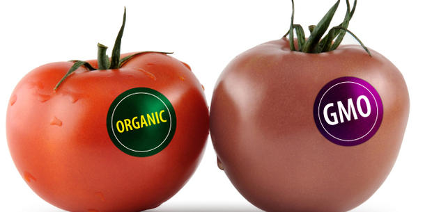Label Organic GMO Label Organic GMO