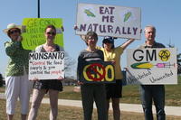 Anti-GMO Protest, Walmart