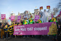 Demo Gen-Mais stoppen