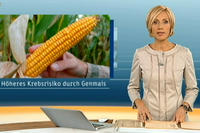 ZDF-heute zu Genmais ZDF-heute zu Genmais