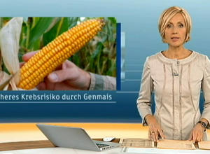 ZDF-heute zu Genmais