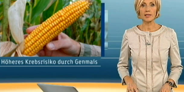 ZDF-heute zu Genmais ZDF-heute zu Genmais