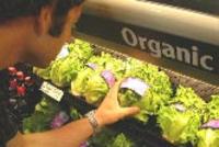 USA, Organic food