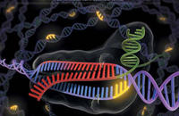 Nature Titel, CRISPR/Cas Nature Titel, CRISPR/Cas