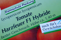 F1-Hybride Tomaten