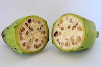 Wildbanane Wildbanane