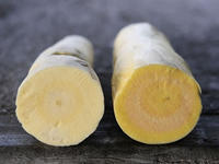 Cassava Cassava