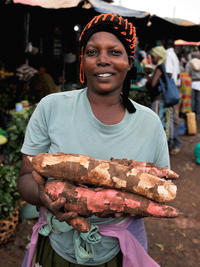 Cassava