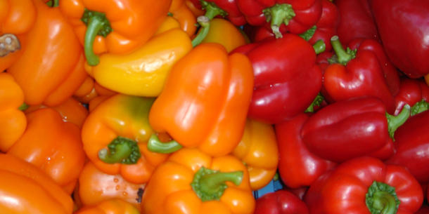Paprika Paprika