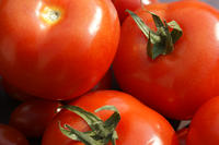 Tomaten Tomaten