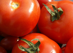 Tomaten