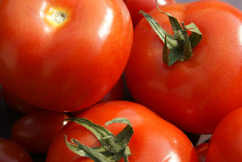 Tomaten Tomaten