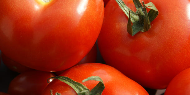 Tomaten