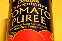 Tomatenpuree