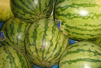 Melonen Melonen