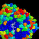 Enzyme Vorschau Datensätze